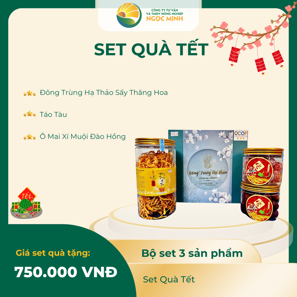  Set quà tết 