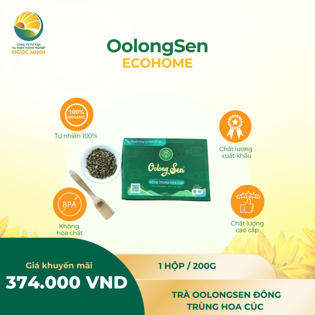  Trà OolongSen - Đông trùng Hoa cúc (hộp 200g) 