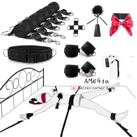 SM set AM691a
