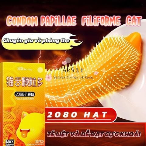 Bao cao su lưỡi mèo AK931