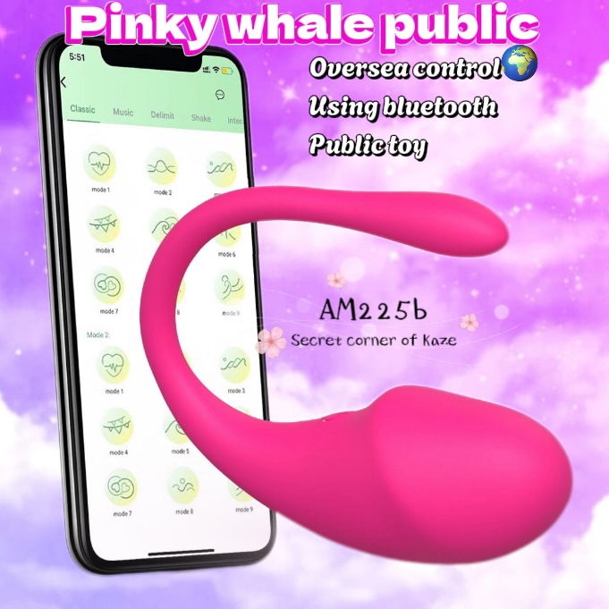 Whale public toy AM225b