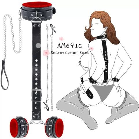 SM Set AM691c
