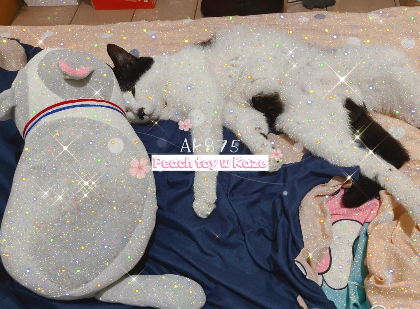 Sex doll for cat - Sextoy cho mèo Ak875
