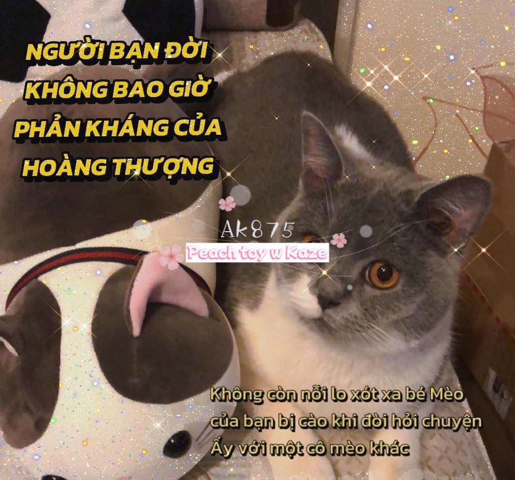 Sex doll for cat - Sextoy cho mèo Ak875