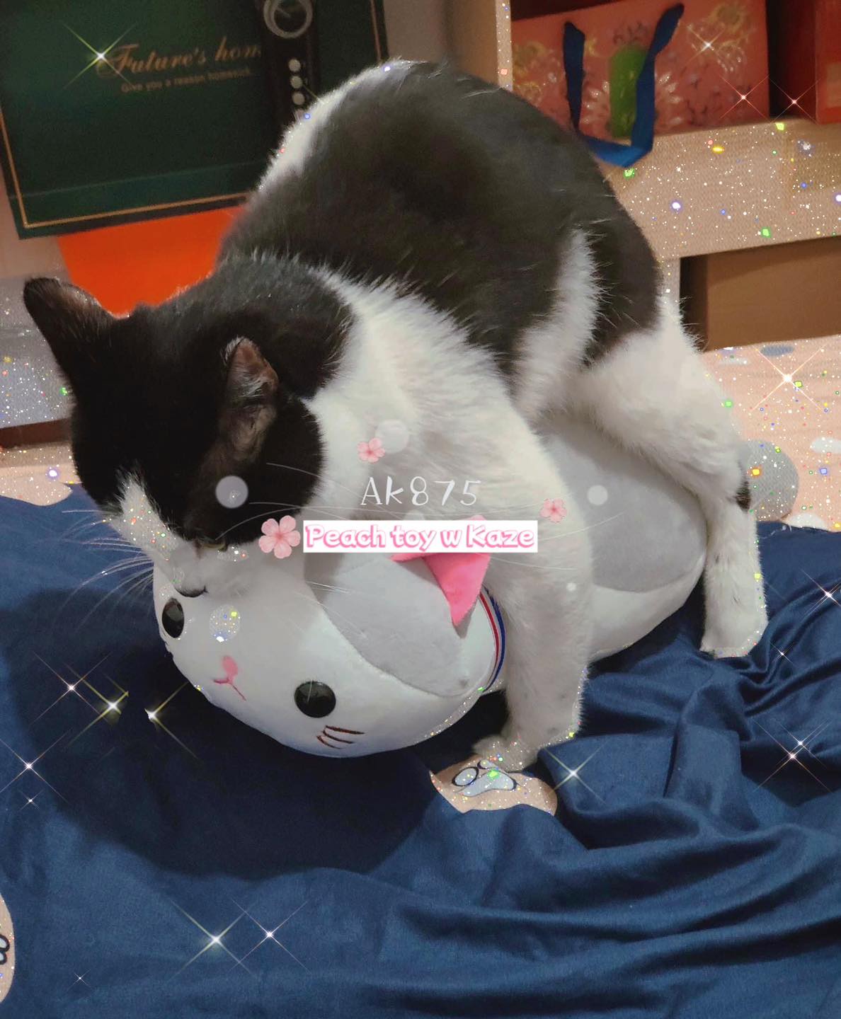 Sex doll for cat - Sextoy cho mèo Ak875