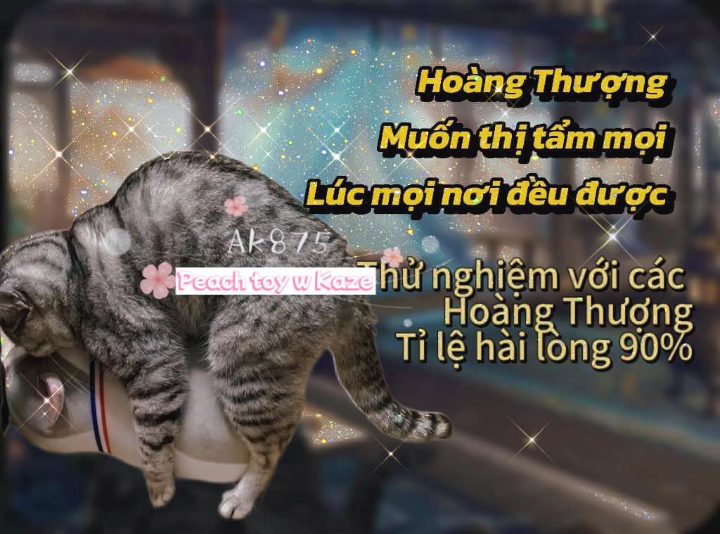Sex doll for cat - Sextoy cho mèo Ak875