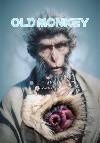 BoyToy Monkey King ( Ak639 )