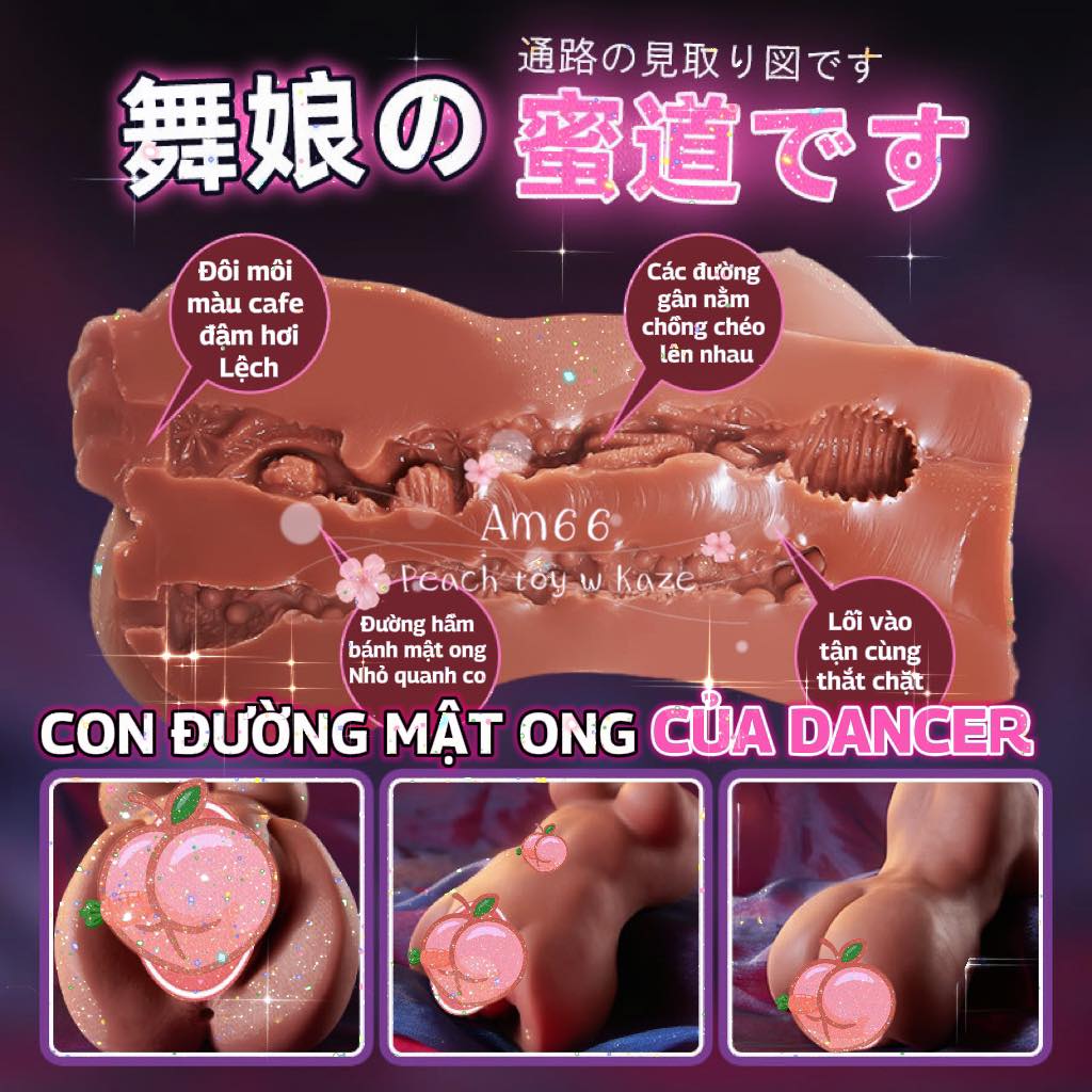 Vũ công chocolate ( Am66 )