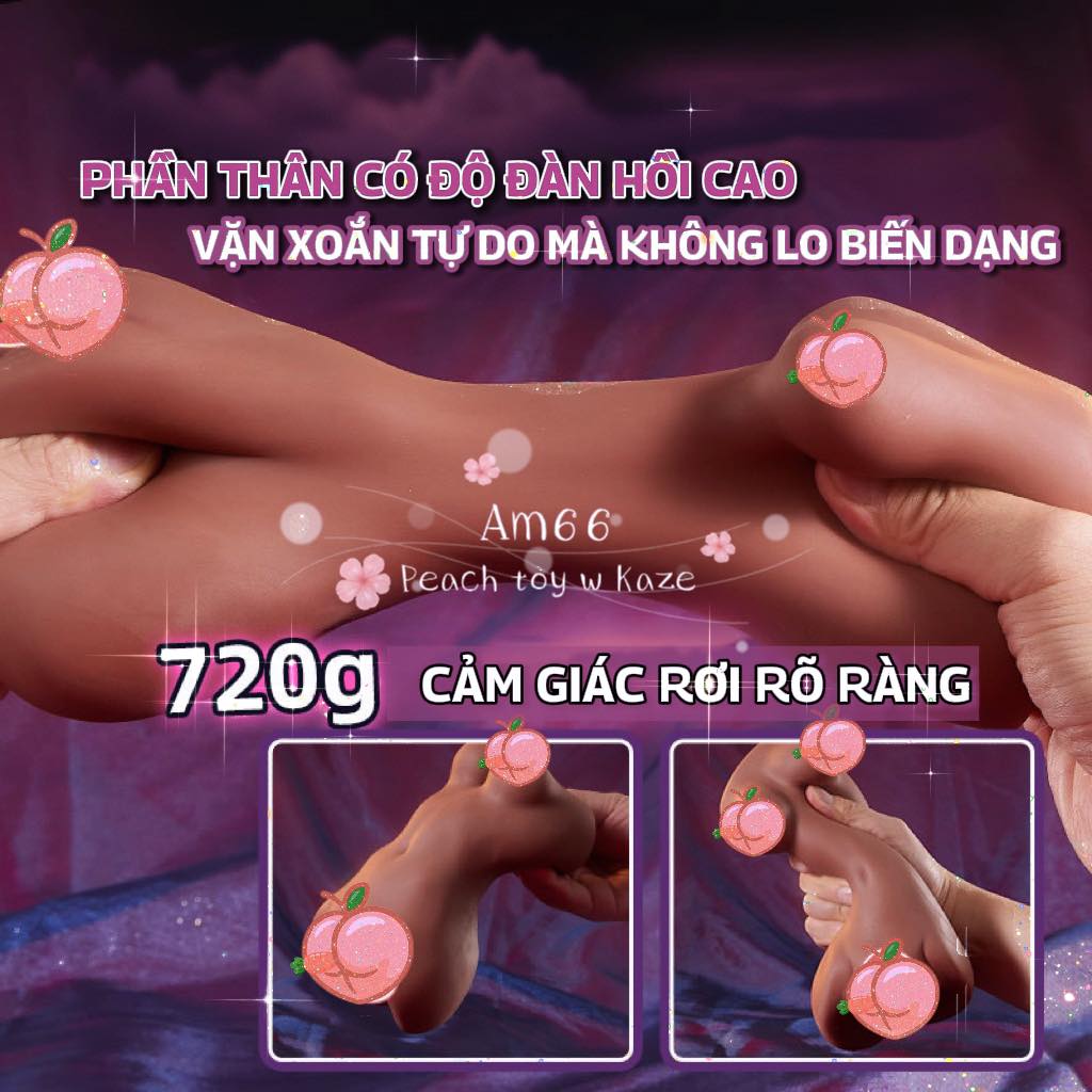Vũ công chocolate ( Am66 )