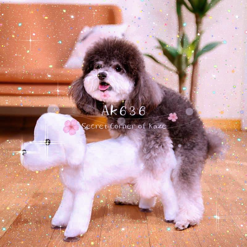 Sex doll for dog - Sextoy cho cún cưng ( Ak636 )