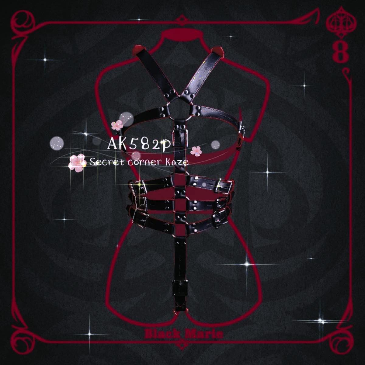 Black BDSM ( Ak582P )