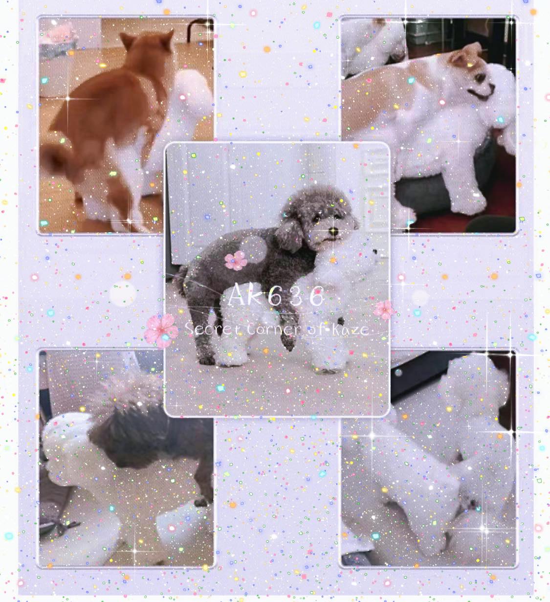 Sex doll for dog - Sextoy cho cún cưng ( Ak636 )