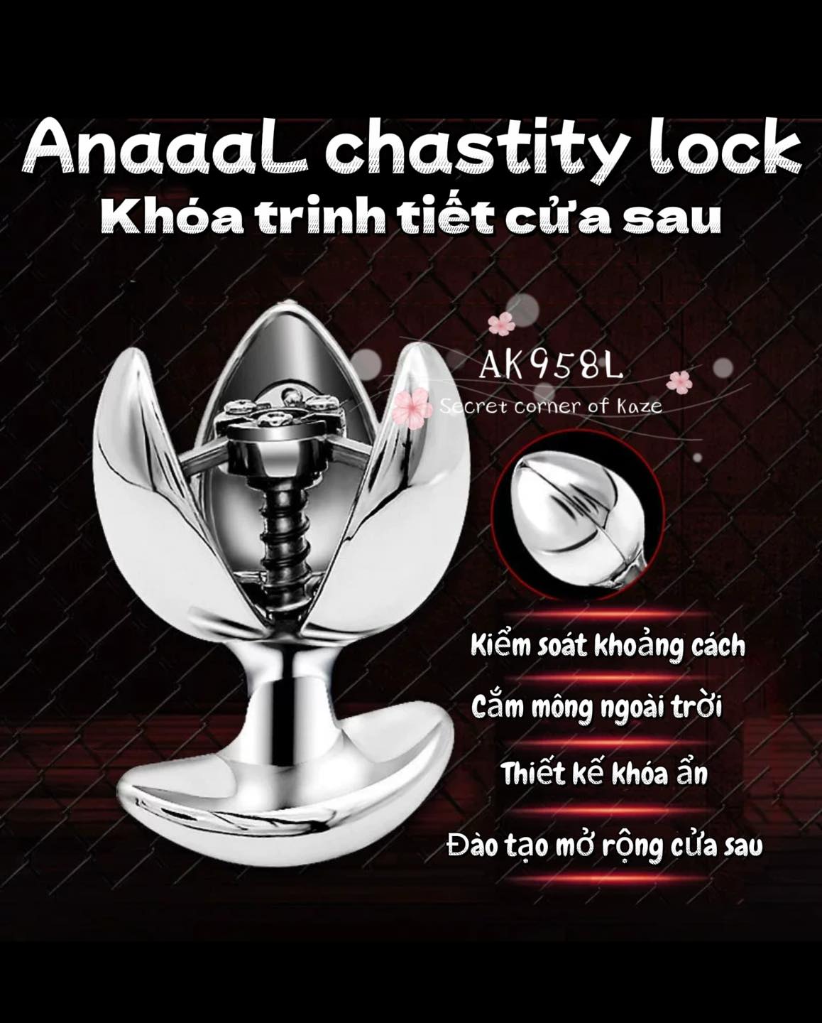 Khóa trinh tiết cửa sau Ak958L