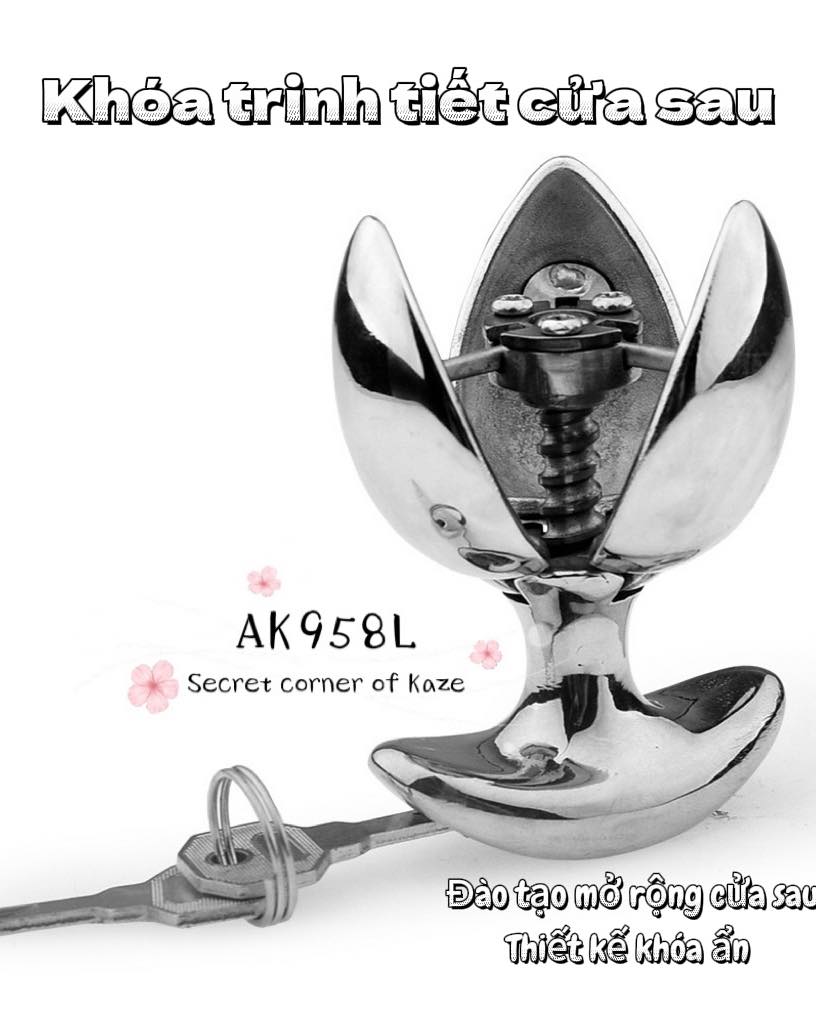 Khóa trinh tiết cửa sau Ak958L