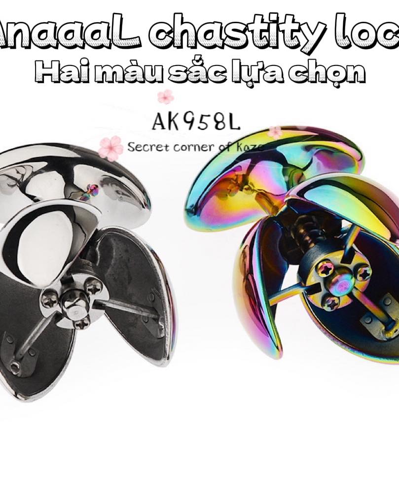 Khóa trinh tiết cửa sau Ak958L