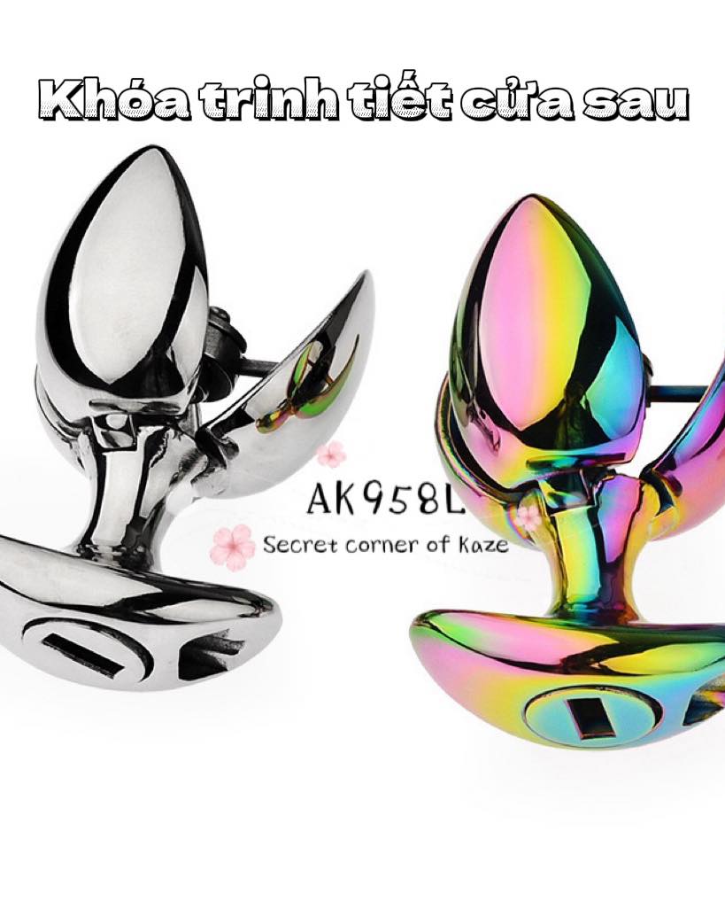 Khóa trinh tiết cửa sau Ak958L