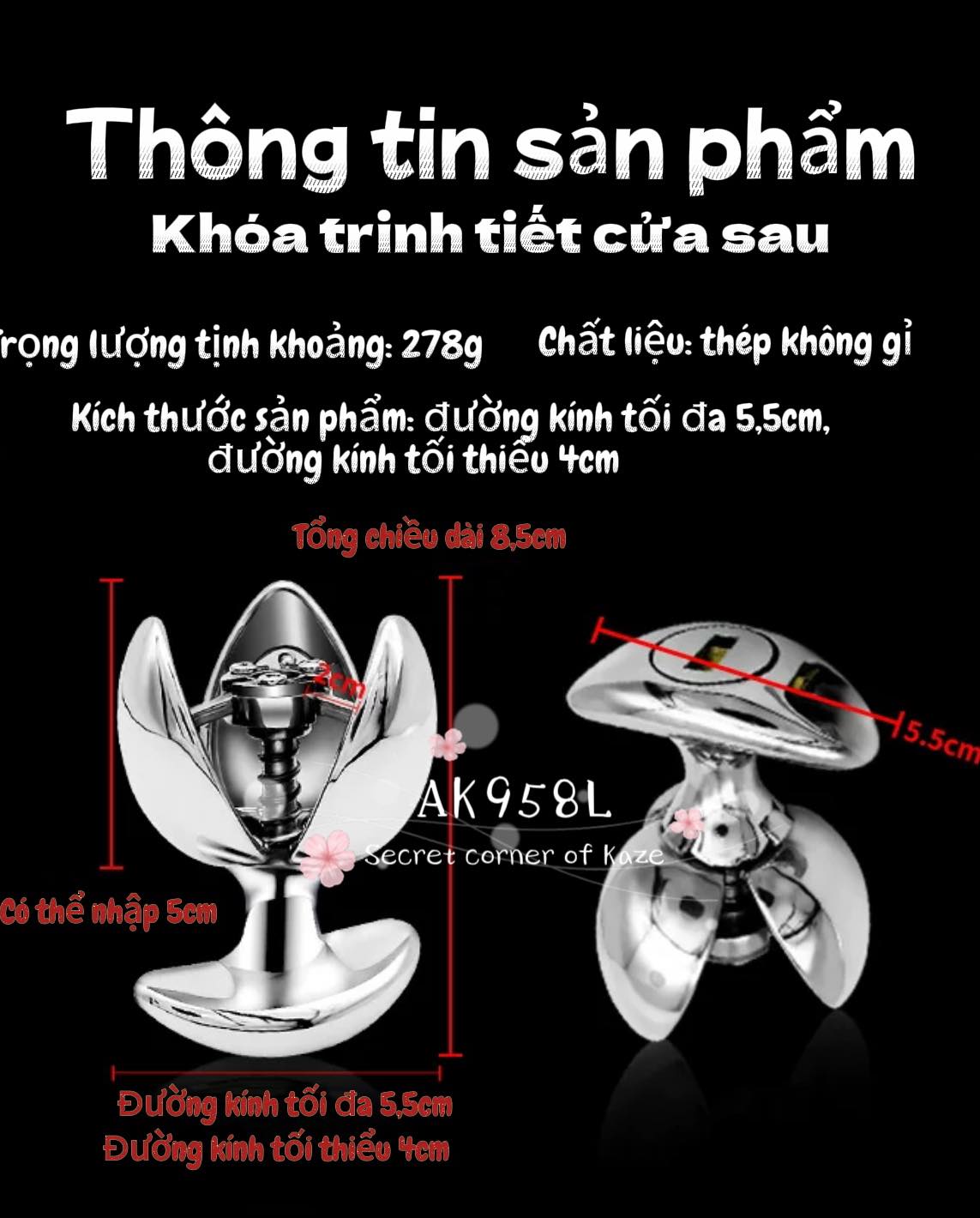 Khóa trinh tiết cửa sau Ak958L