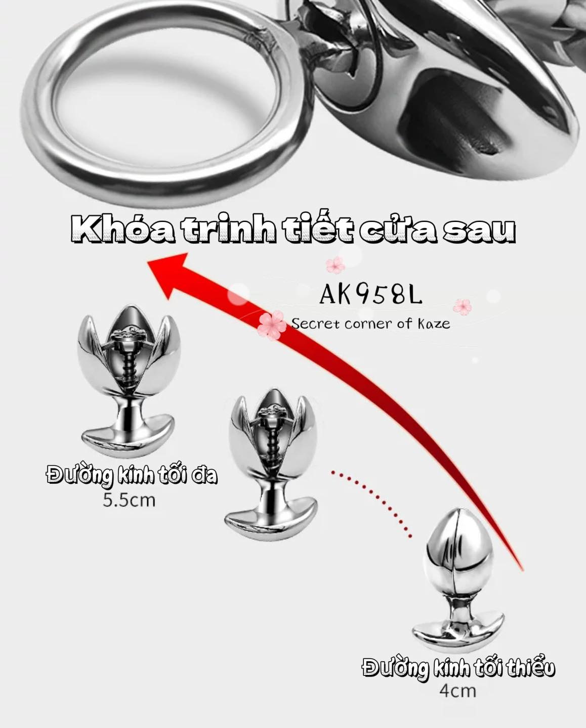 Khóa trinh tiết cửa sau Ak958L