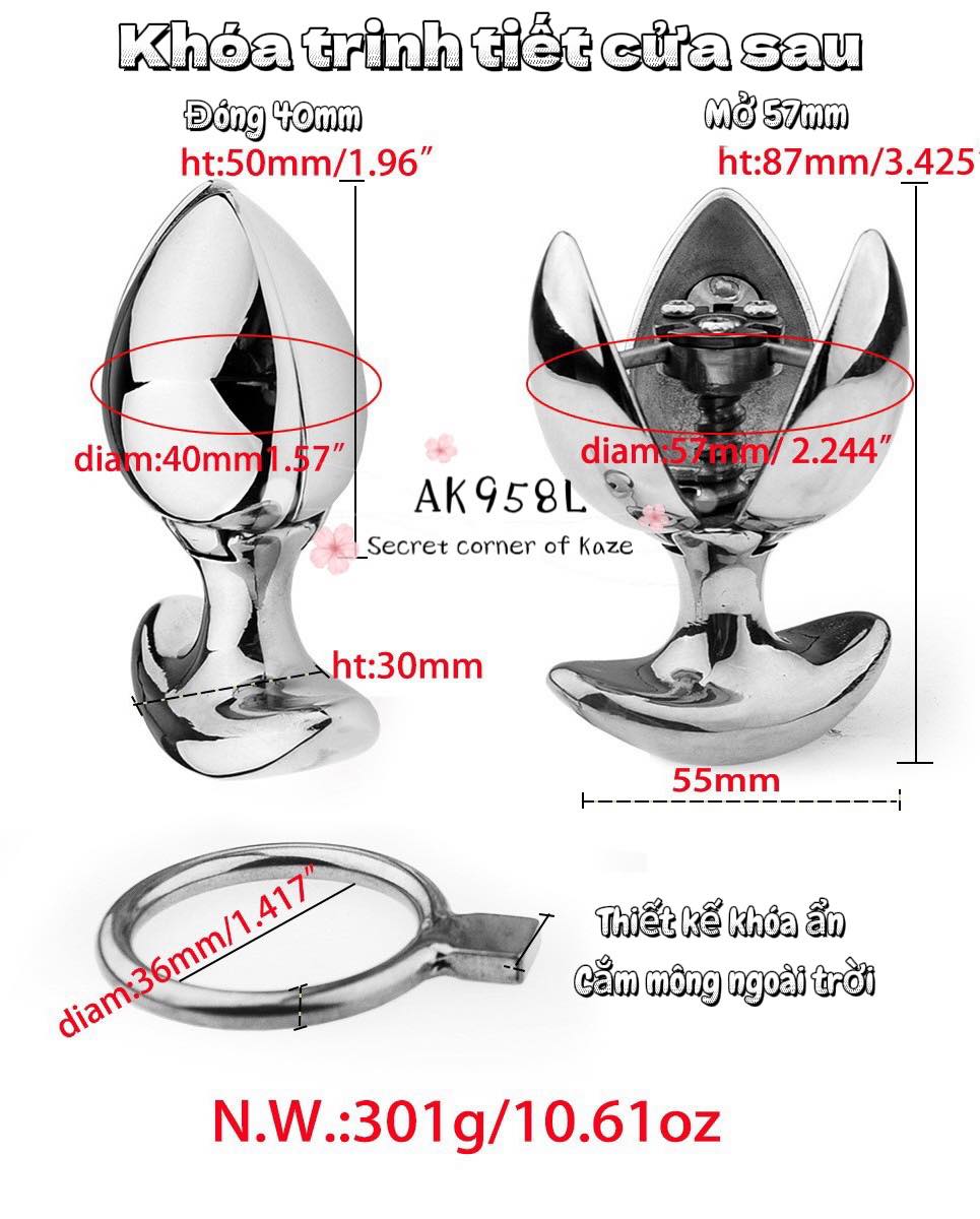 Khóa trinh tiết cửa sau Ak958L