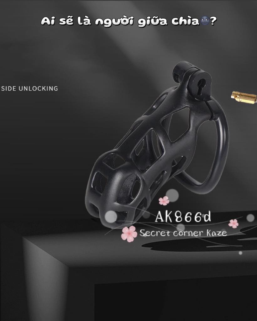 Gentleman chastity ( Ak866d )