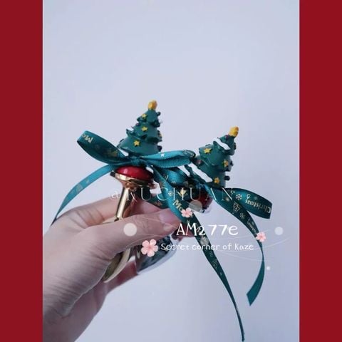 Wish you a merry Christmas Am227