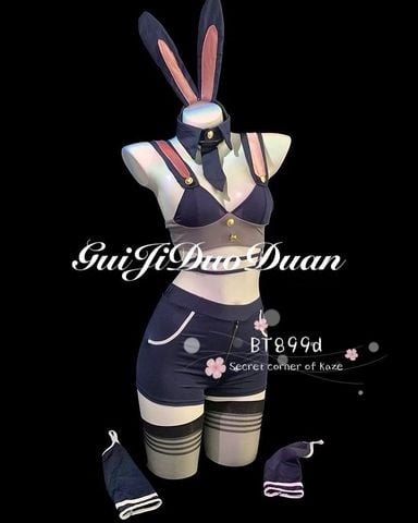 Bộ Thỏ Judy
