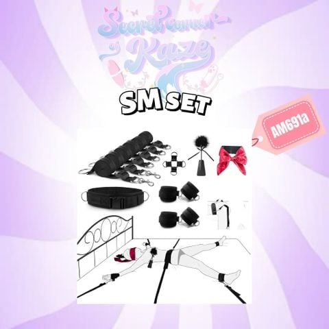 SM set AM691a