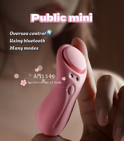 Sextoy Public mini AM334p