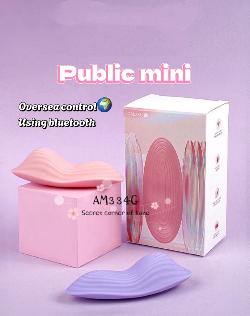 Public mini AM334G