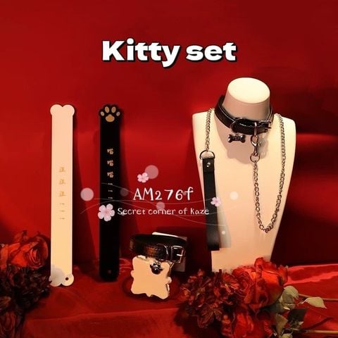 Kitty set AM276f