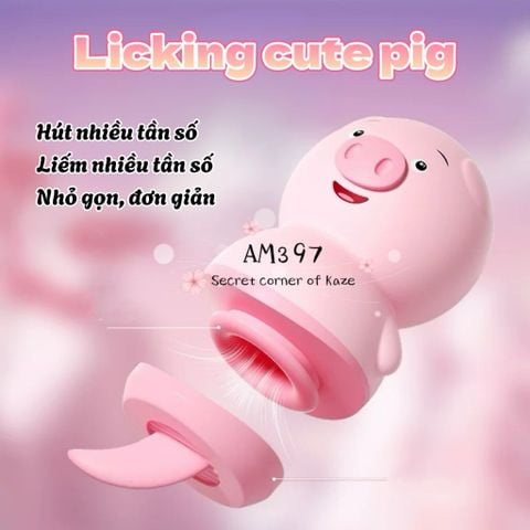 Licking cute pig hút liếm AM397