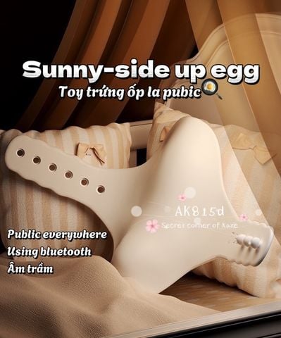Sunny-side up egg public toy AK815d