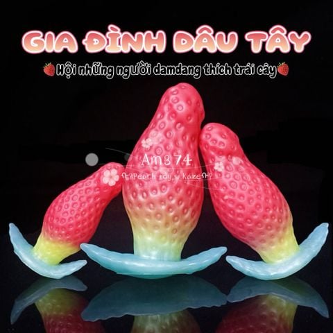 BUTTPLUG dâu Tây Am374