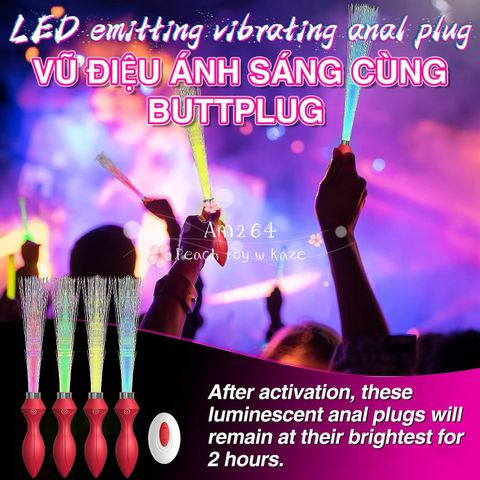 Buttplug light party ( Am264 )