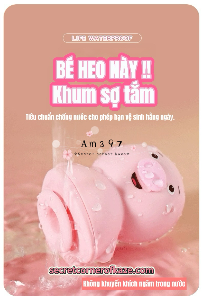 Licking cute pig hút liếm AM397