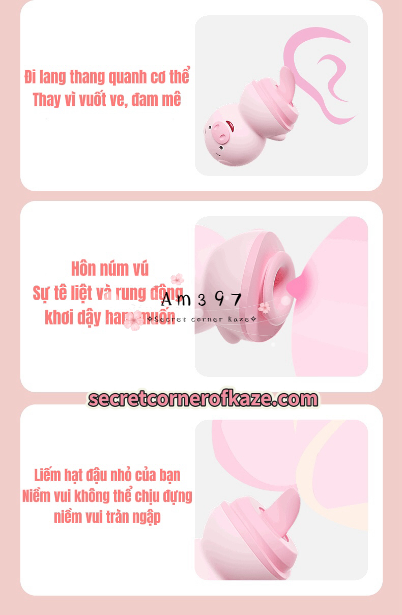 Licking cute pig hút liếm AM397
