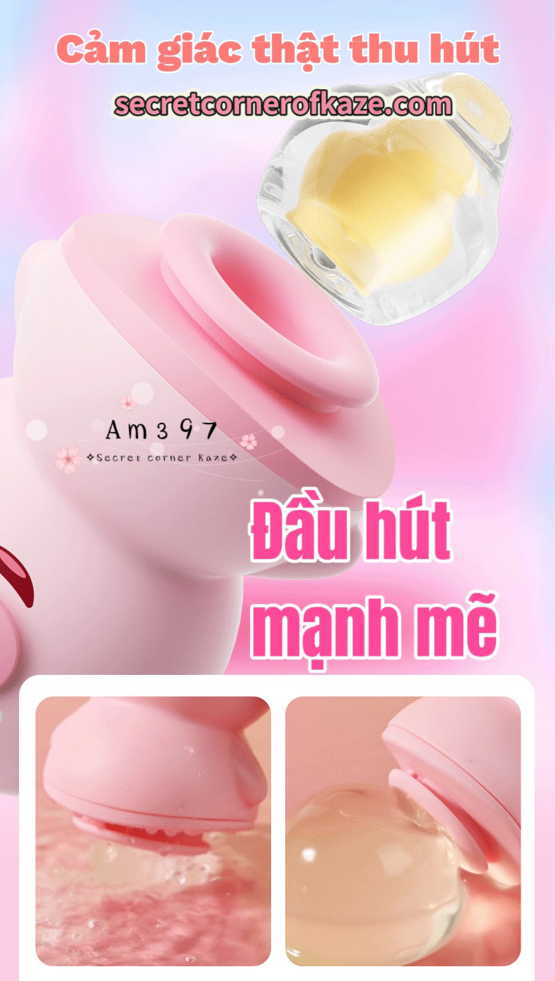 Licking cute pig hút liếm AM397