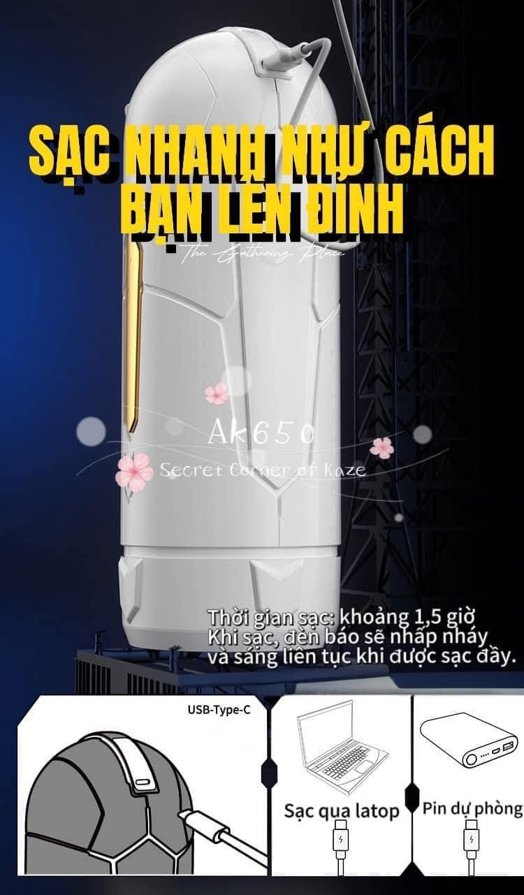 Gundam x Boy toy Ak650