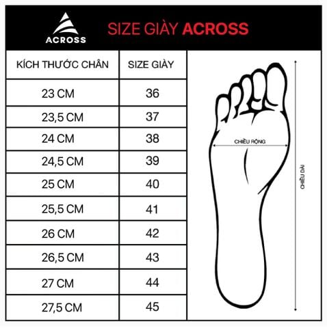  DÉP CHẠY BỘ PHỤC HỒI - FLOWSTEP 