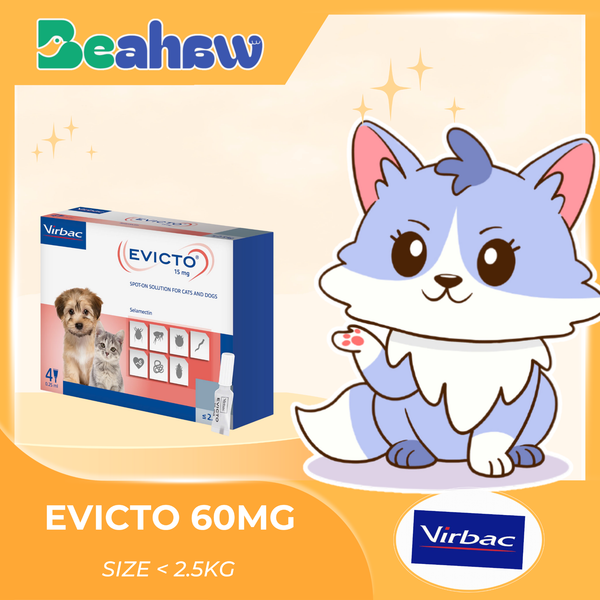 Evicto Rabbit Thuốc nhỏ gáy trị nội & ngoại kí sinh trùng EVICTO – Beahaw