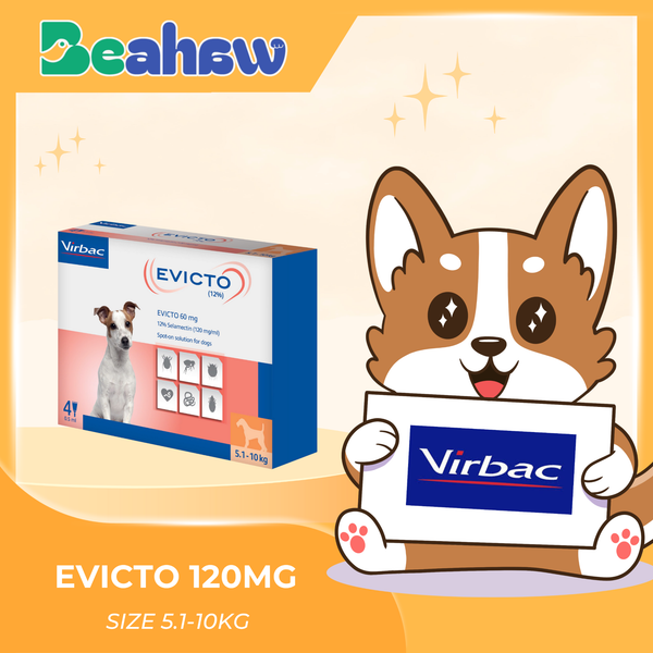 Evicto Rabbit Thuốc nhỏ gáy trị nội & ngoại kí sinh trùng EVICTO – Beahaw