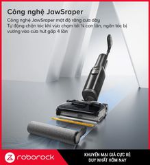 Roborock F25 ACE