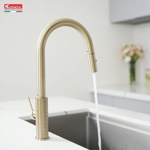 Vòi rửa bát dây rút Venice Gold