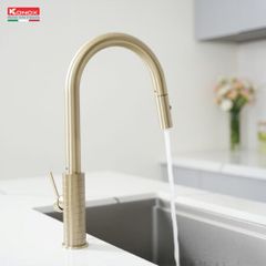 Vòi rửa bát dây rút Venice Gold