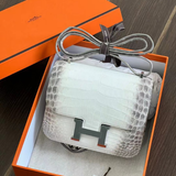 Túi Xách Hermes Đặc Biệt (Himalaya Crocodile, Diamond Birkin, Kelly Bags,...) 