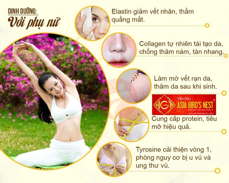 Tổ Yến Sào VinaRich Khánh Hòa Tinh Chế - Bộ Bông Mai 50gram