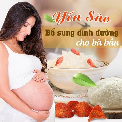 Yến Sào Trắng Tinh Chế Khánh Hòa VinaRich - Bộ Bông Mai 10gram