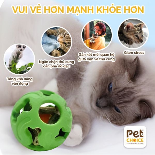 Bóng khung xương cao su có cỏ mèo