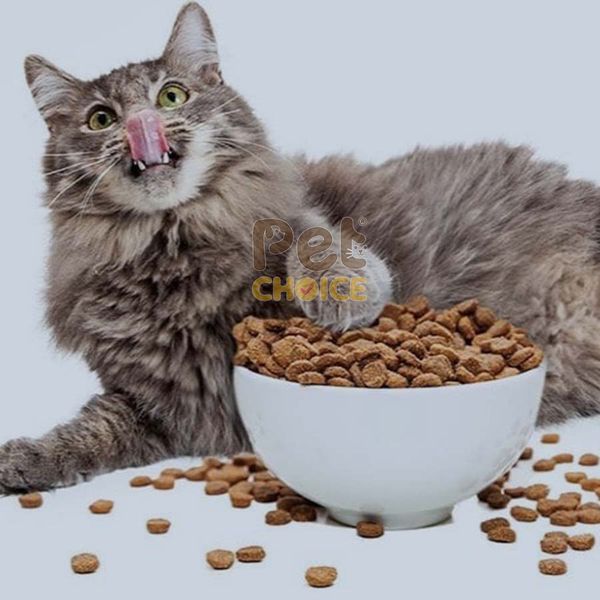 Thức ăn mèo mọi lứa tuổi catsrang 400g