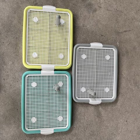 Khay vệ sinh cho chó có thành cao chống văng 52x42x15cm
